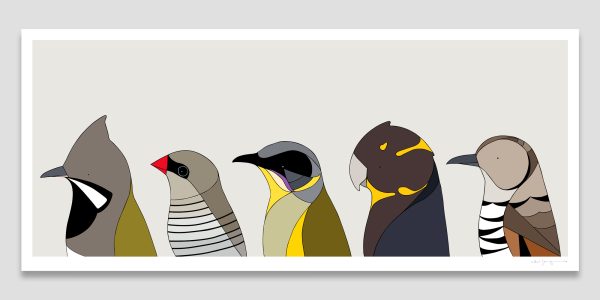Birds of Kangaroo Island