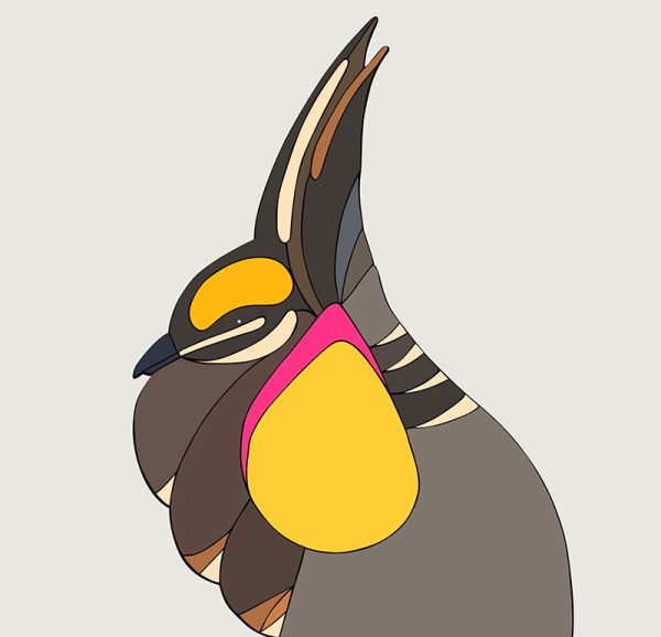Great Prairie Chicken - Image 3