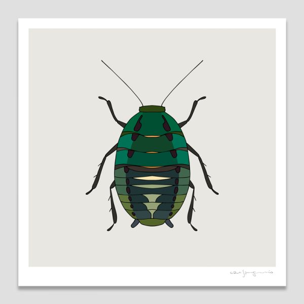 Metallic Cockroach