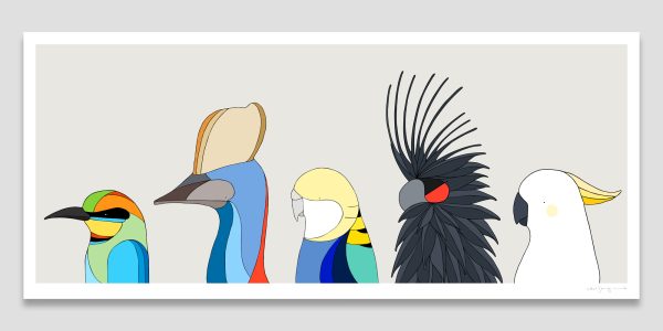 Birds of Queensland