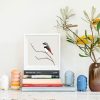Diamond Firetail - Image 2