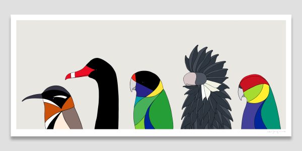 Birds of Perth