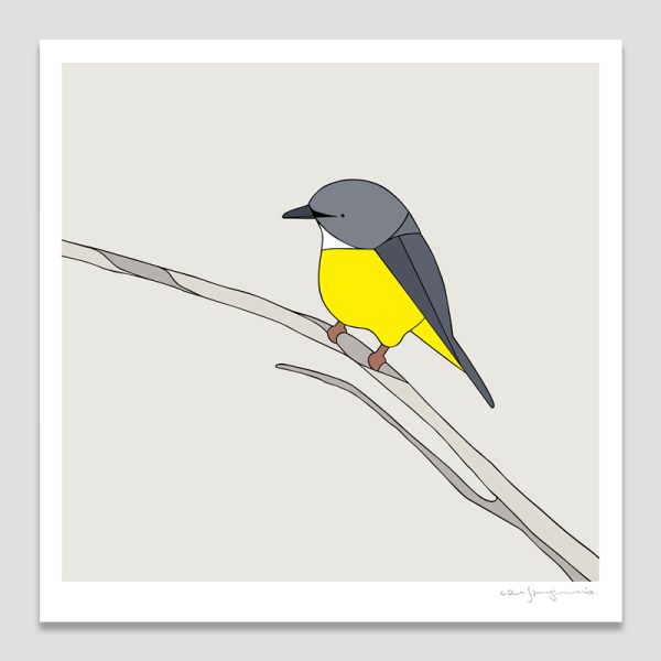 Eastern Yellow Robin