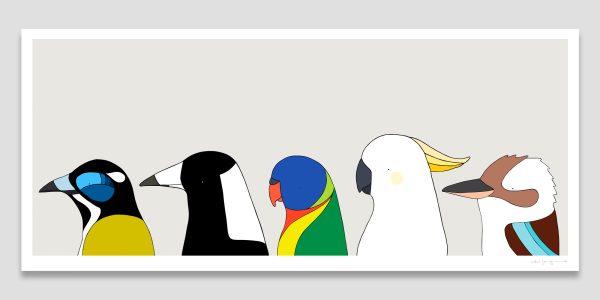 Birds of Brisbane