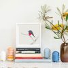 Rose Robin - Image 2
