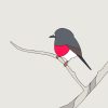 Rose Robin - Image 3
