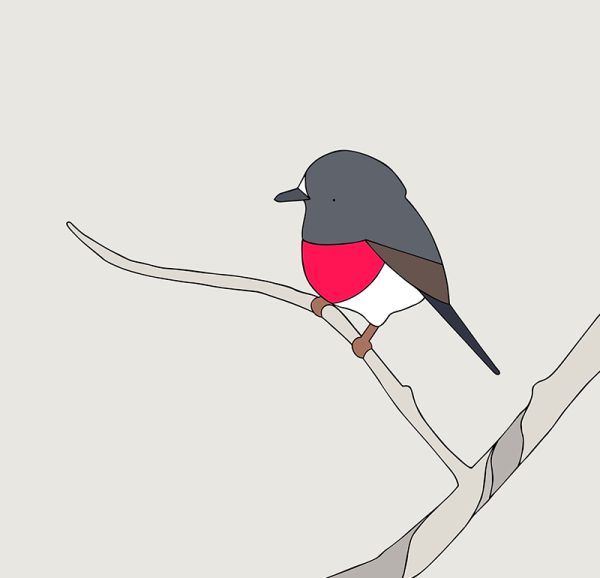 Rose Robin - Image 3