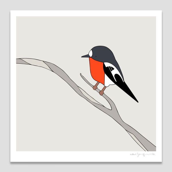 Flame Robin
