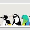 Birds of Melbourne