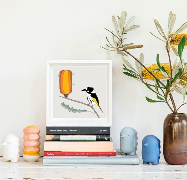 New Holland Honeyeater & Banksia - Image 2