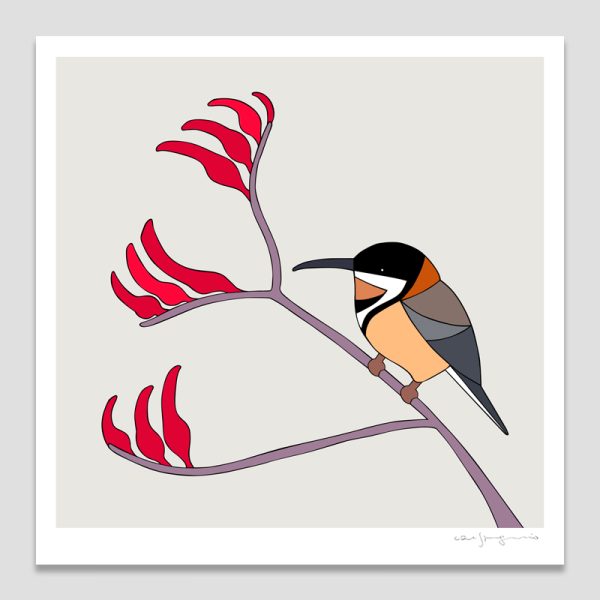 Eastern Spinebill & Kangaroo Paw