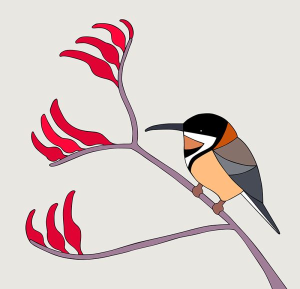 Eastern Spinebill & Kangaroo Paw - Image 3