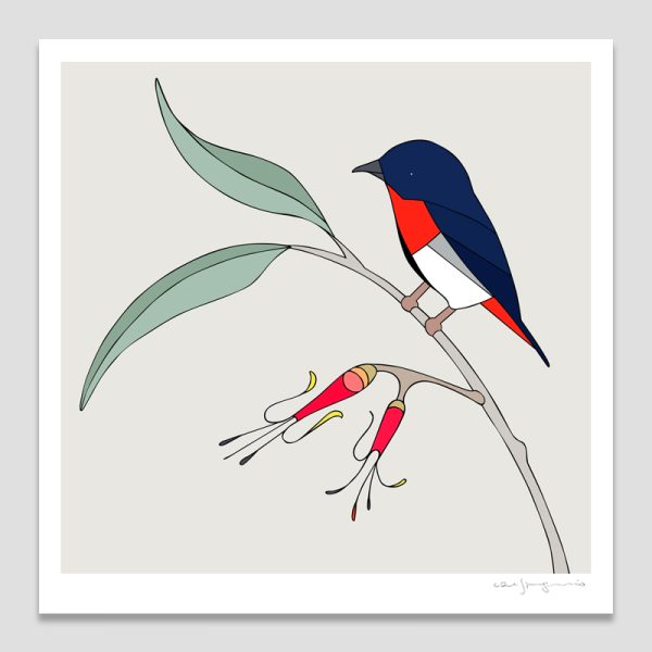 Mistletoebird & Mistletoe
