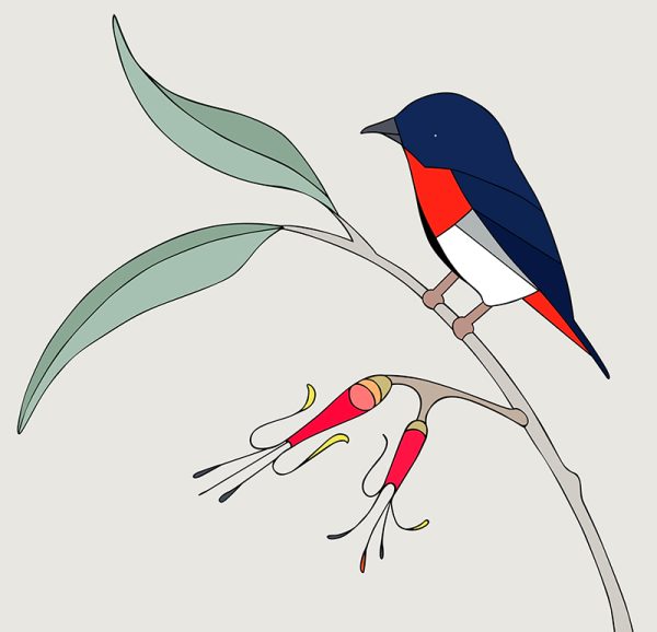 Mistletoebird & Mistletoe - Image 3