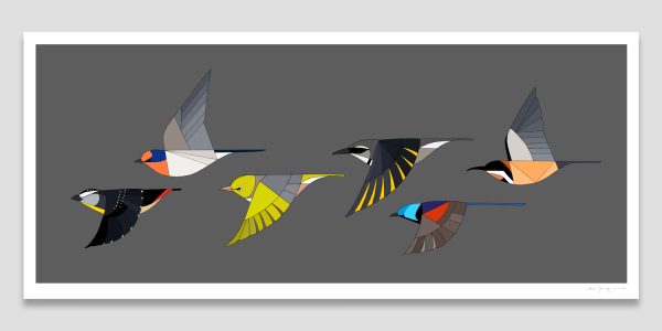 Little Birds of the Gardens In Flight