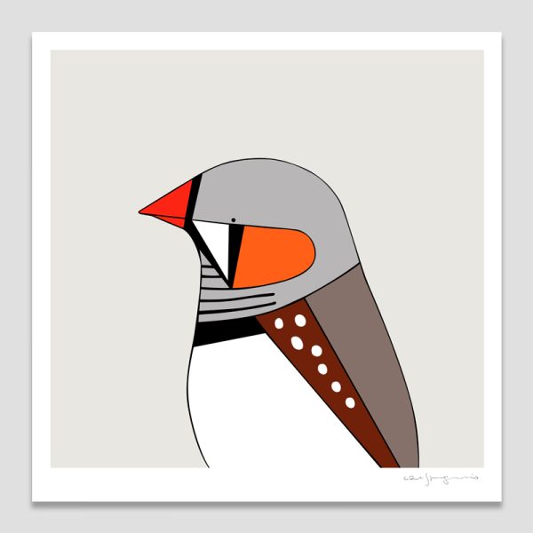 Zebra Finch