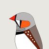 Zebra Finch - Image 3