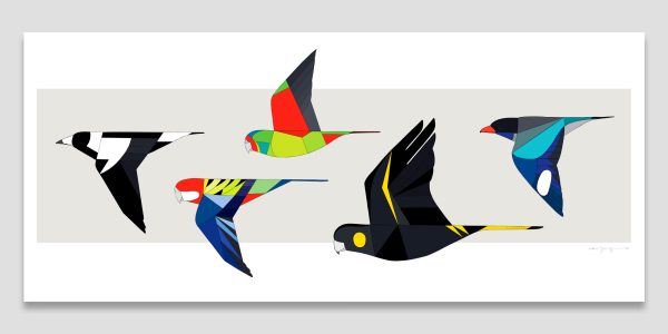 Birds of the Gardens In Flight