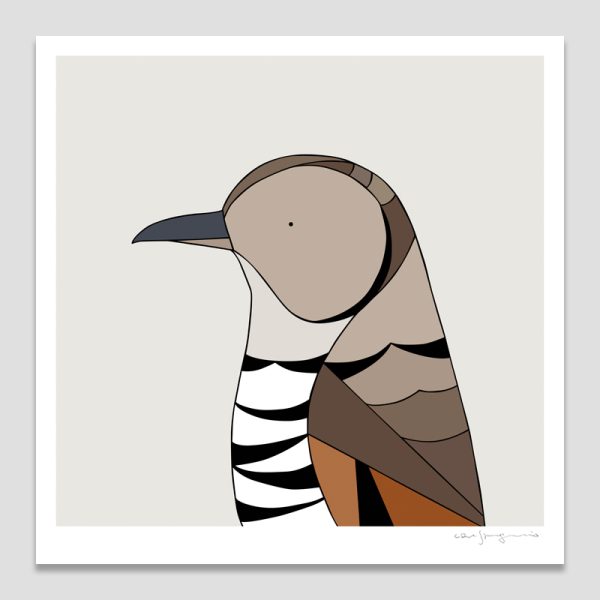 Bassian Thrush