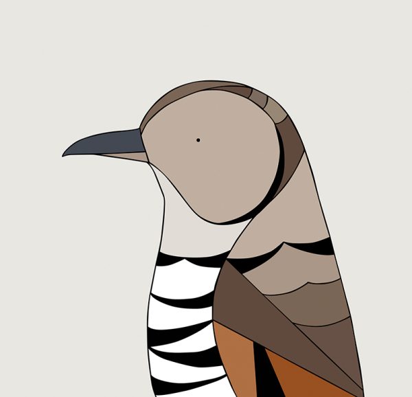 Bassian Thrush - Image 3