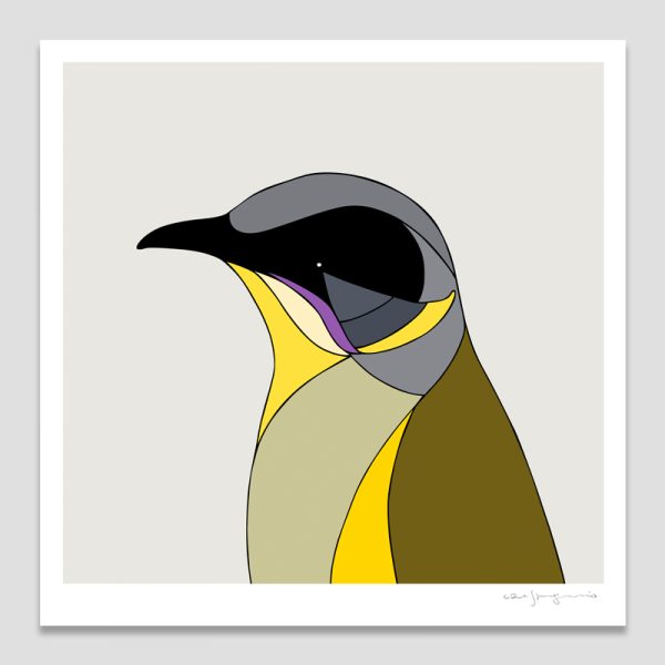 Purple-gaped Honeyeater