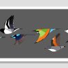 Little Birds In Flight