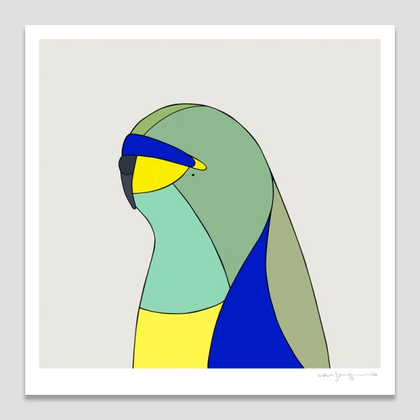 Blue-winged Parrot