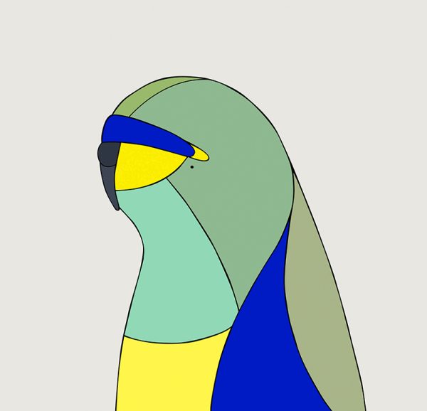 Blue-winged Parrot - Image 3