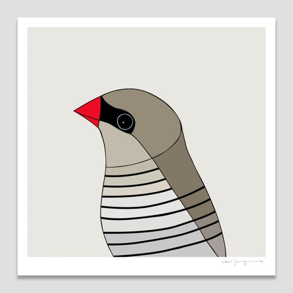 Beautiful Firetail