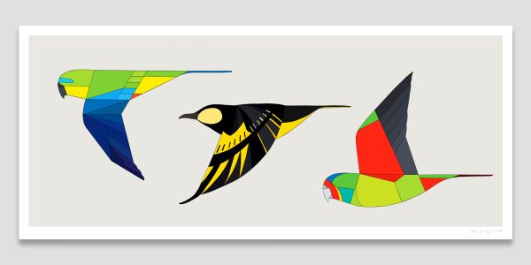 Rare Birds In Flight