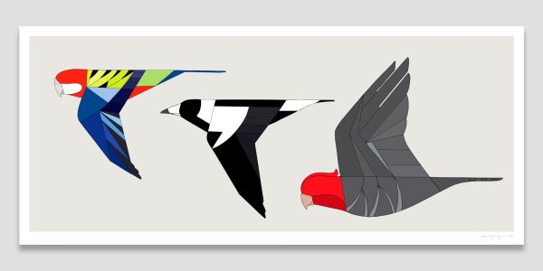 Birds of the East In Flight