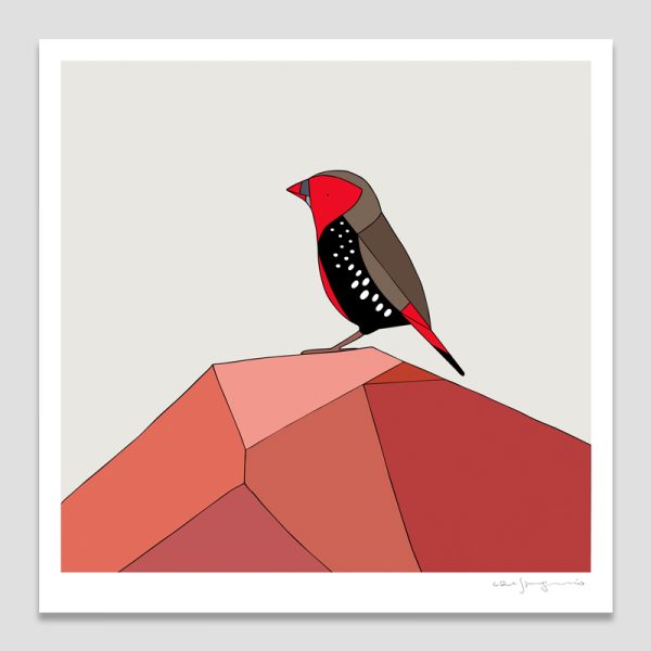 Painted Finch