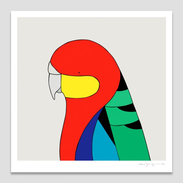 Western Rosella