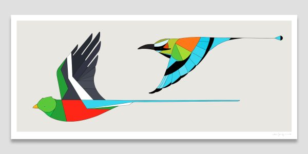 Birds of Central America