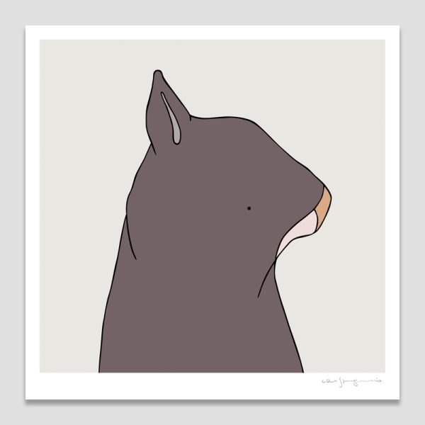 Northern Hairy-nosed Wombat