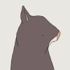 Northern Hairy-nosed Wombat - Image 3