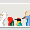 Birds of Australia II