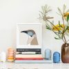 Little Friarbird - Image 2