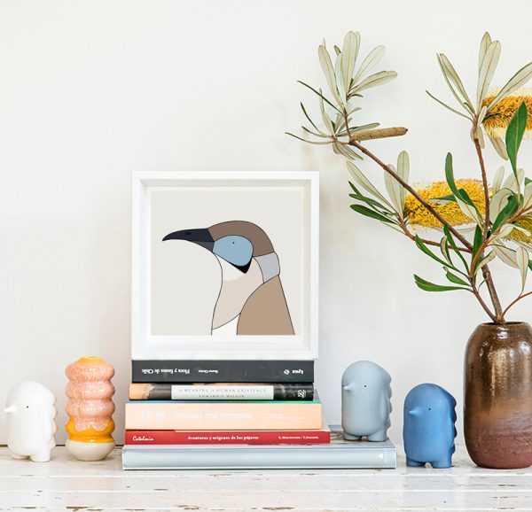 Little Friarbird - Image 2