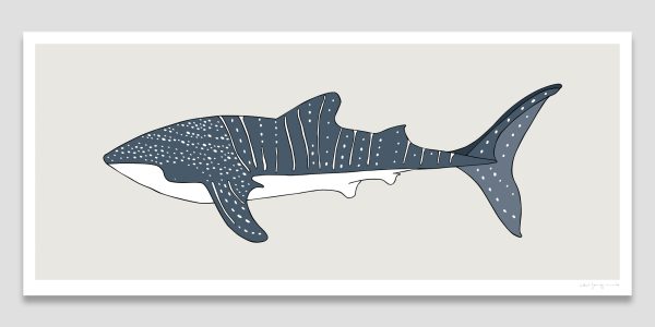 Whale Shark