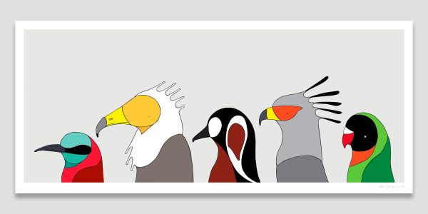 Birds of Africa