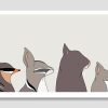 Marsupials of Australia