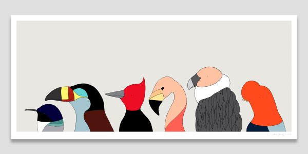 Birds of the Andes