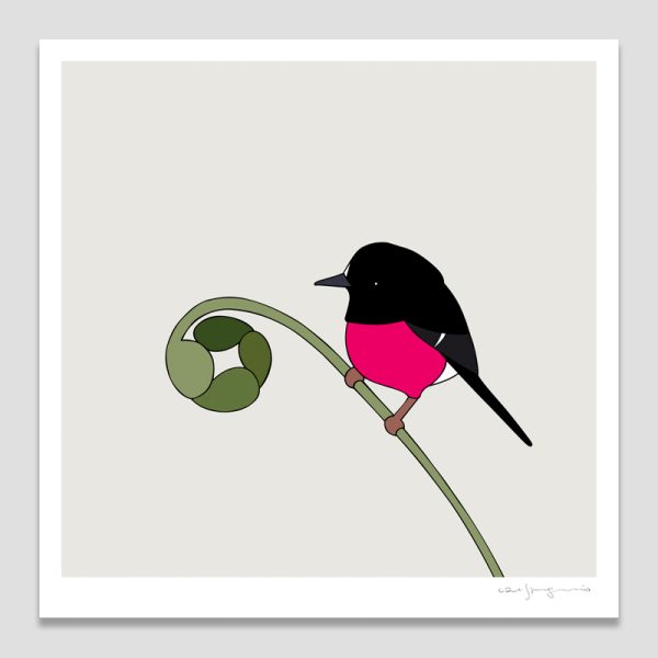Pink Robin
