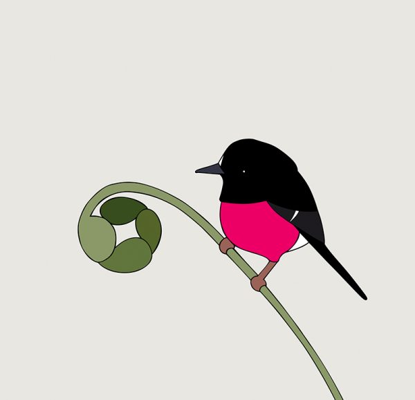 Pink Robin - Image 3