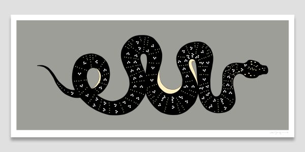 Diamond Python