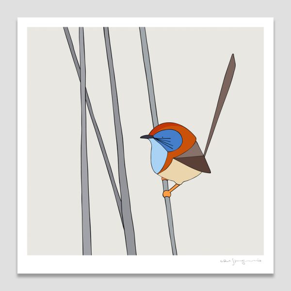Mallee Emu-wren