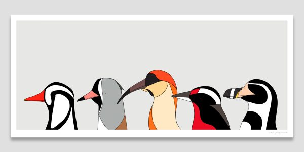 Birds of Chile