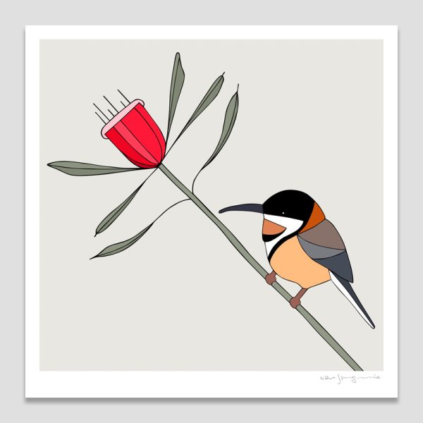 Eastern Spinebill and Mountain Devil