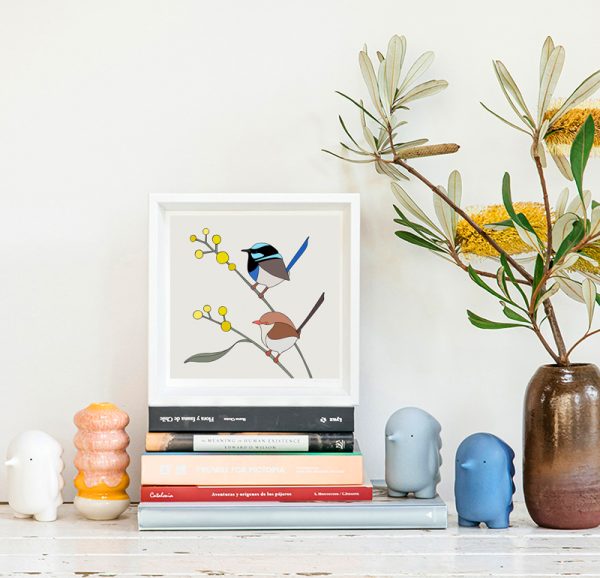 Superb Fairy-Wrens and Wattle - Image 2
